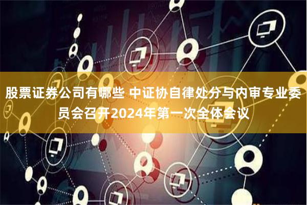 股票证券公司有哪些 中证协自律处分与内审专业委员会召开2024年第一次全体会议