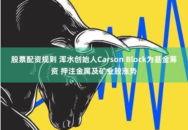 股票配资规则 浑水创始人Carson Block为基金筹资 押注金属及矿业股涨势