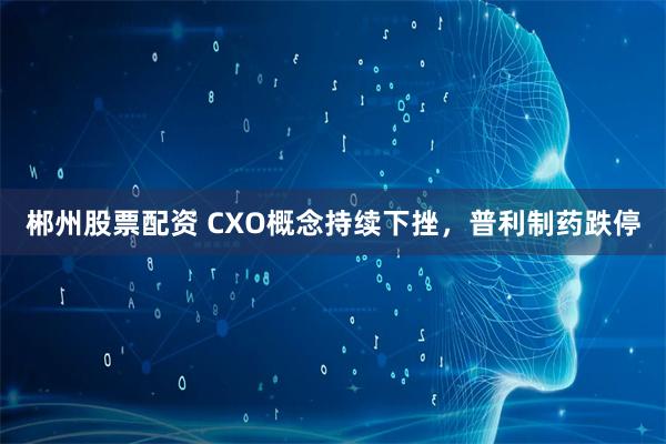 郴州股票配资 CXO概念持续下挫，普利制药跌停