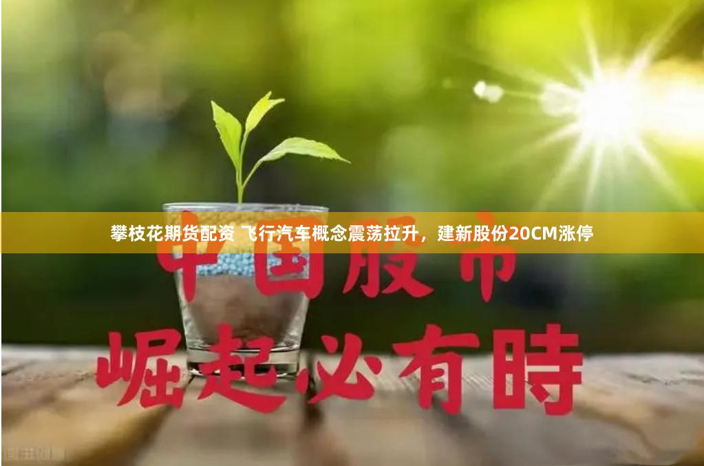 攀枝花期货配资 飞行汽车概念震荡拉升，建新股份20CM涨停